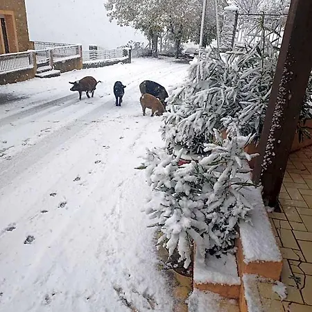U Pozzu Évisa